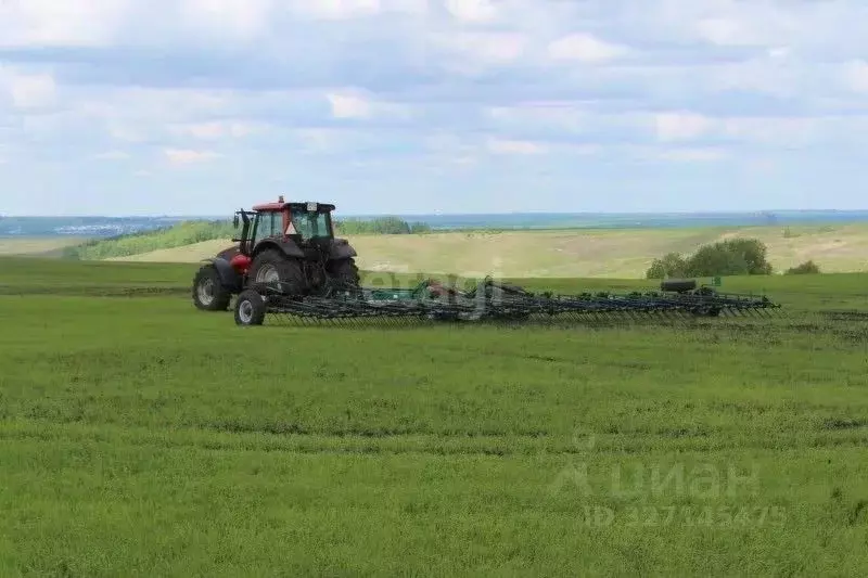 Участок в Кемеровская область, Топкинский муниципальный округ, пос. ... - Фото 1