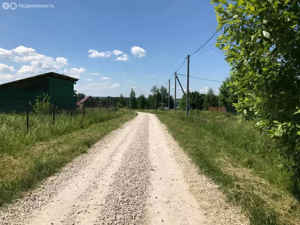 Участок в Заокский район, сельское поселение Демидовское, село Домнино ... - Фото 1