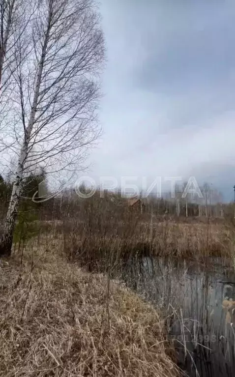 Участок в Тюменская область, Нижнетавдинский район, Сундукуль СНТ ул. ... - Фото 0