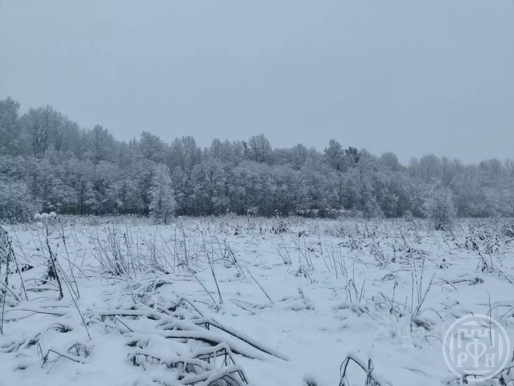 Участок в Ленинградская область, Приозерский район, Ромашкинское ... - Фото 0