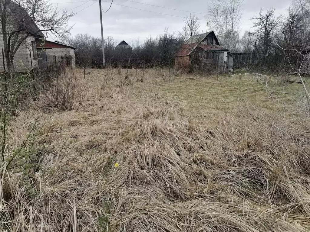 Участок в Воронежская область, Воронеж Иволга СНТ, 338 (9.0 сот.) - Фото 1