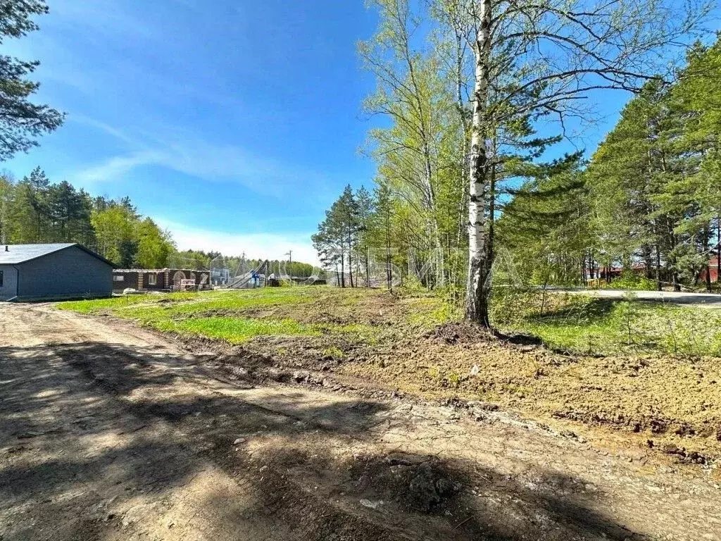 Участок в Тюменская область, Тюменский муниципальный округ, с. ... - Фото 2