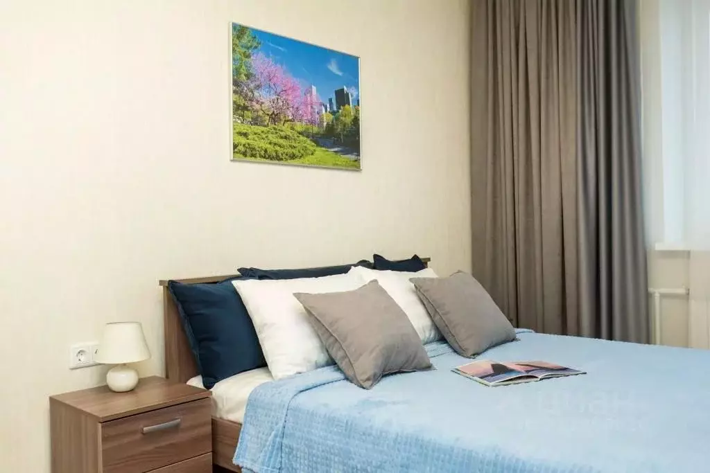 1-к кв. Санкт-Петербург Коломяжский просп., 26 (42.0 м) - Фото 1