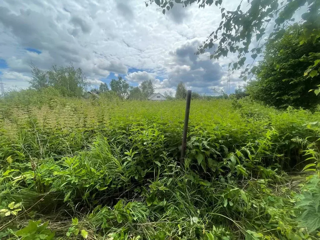 Участок в Московская область, Сергиево-Посадский городской округ, д. ... - Фото 2