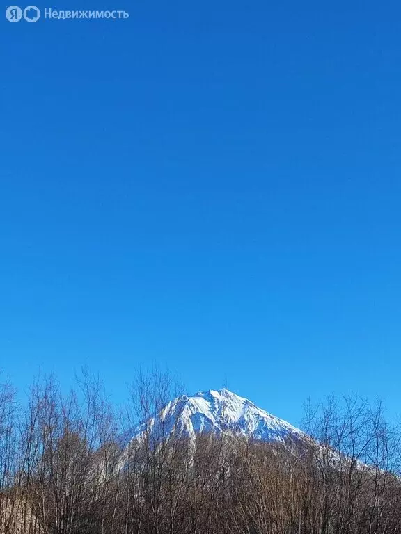 Участок в Камчатский край, Елизовский муниципальный округ, СНТ Мираж ... - Фото 1