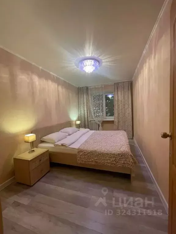 3-к кв. Пермский край, Пермь ул. Ленина, 78 (65.0 м) - Фото 2