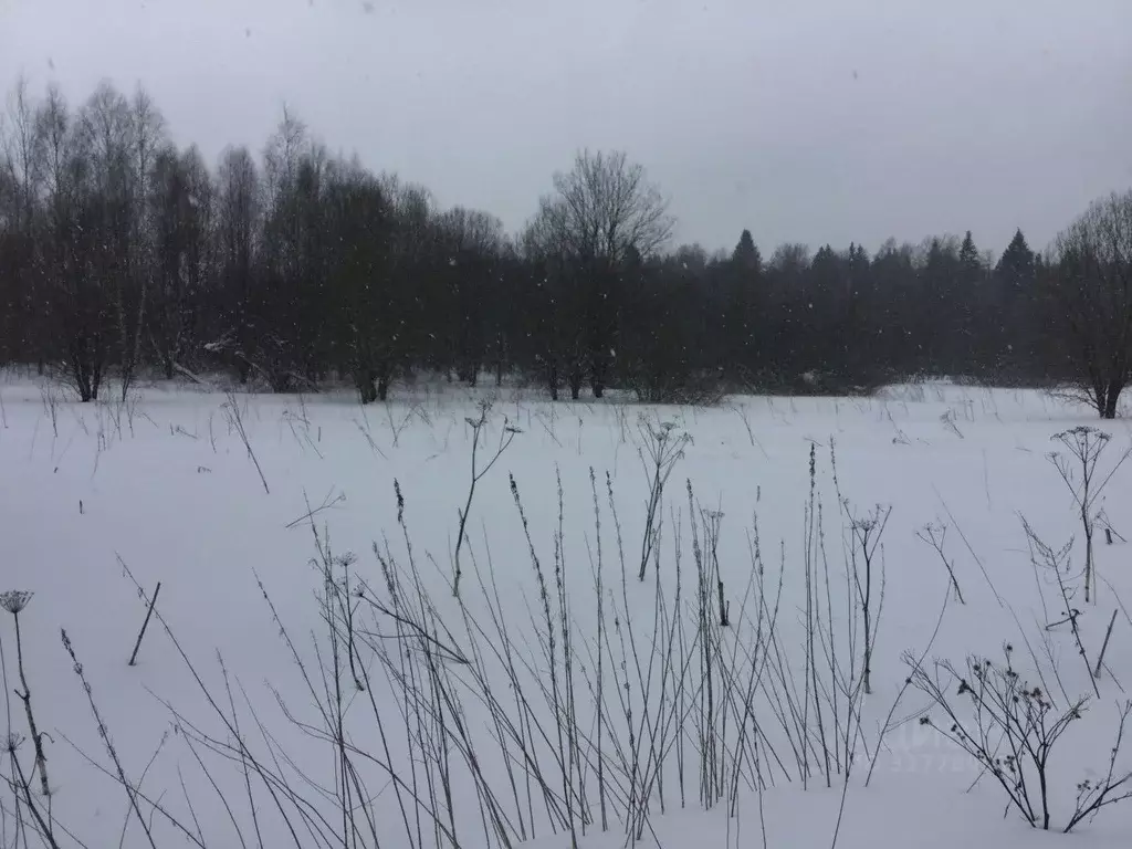 Участок в Московская область, Сергиево-Посадский городской округ, с. ... - Фото 1