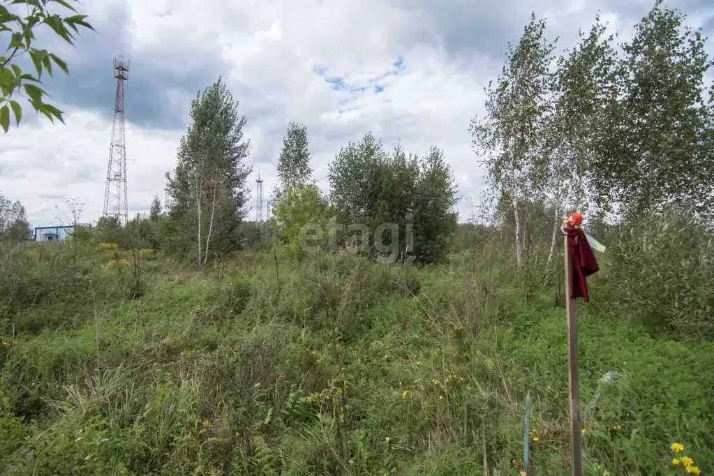 Участок в Новосибирская область, Искитимский район, с. Морозово  (19.1 ... - Фото 0