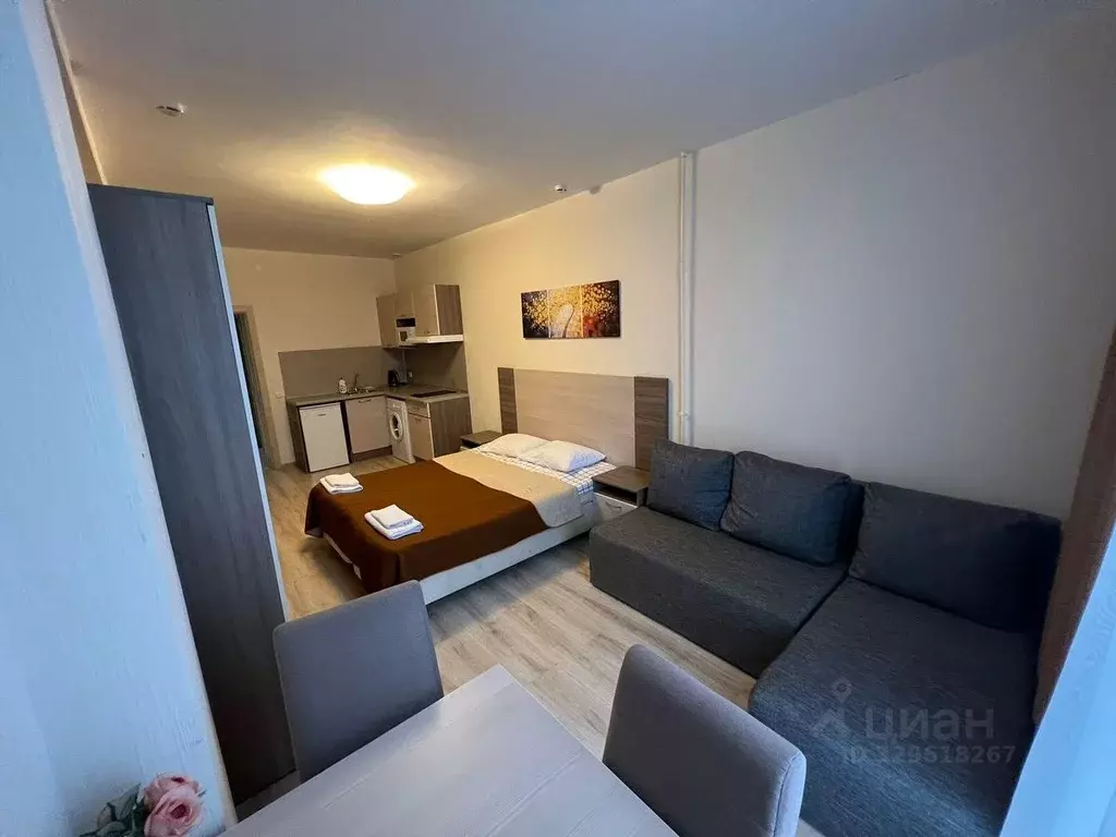 1-к кв. Санкт-Петербург Пулковское ш., 14Е (30.0 м) - Фото 1