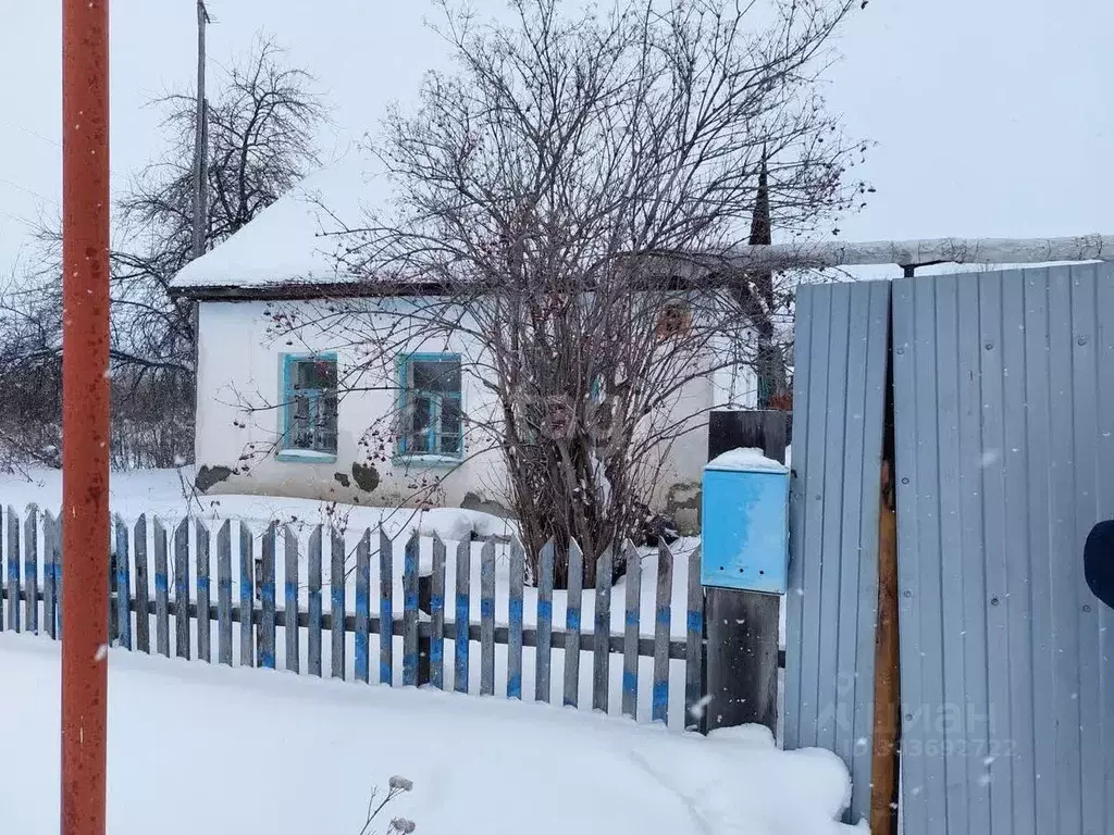 Дом в Курганская область, Шадринский муниципальный округ, с. Красная ... - Фото 0