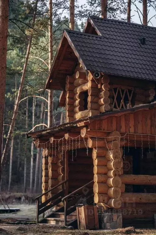 Дом в Алтай, Шебалинский район, с. Камлак Набережная ул., 38В (120 м) - Фото 0