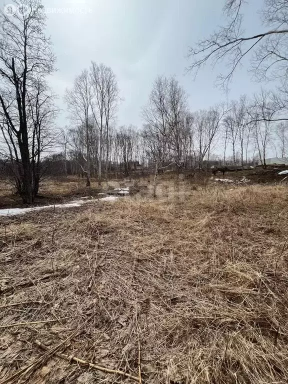 Участок в Елизовский район, Пионерское сельское поселение, посёлок ... - Фото 1