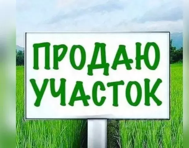 Участок в Владимирская область, Александровский район, Каринское ... - Фото 0