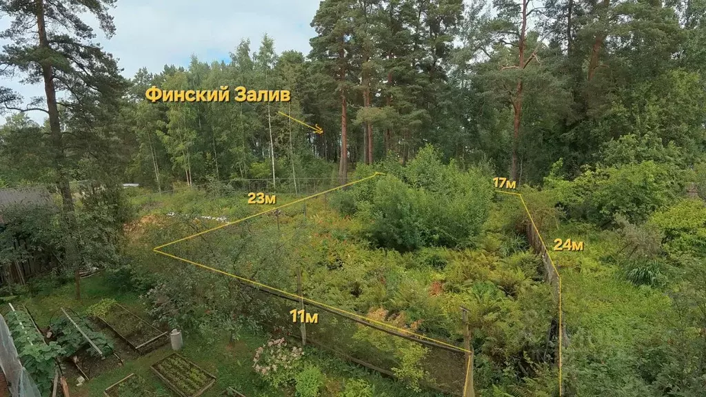 Участок в Ленинградская область, Ломоносовский район, Лебяженское ... - Фото 1