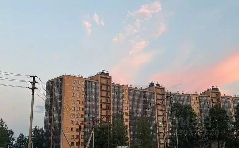 Студия Ленинградская область, Всеволожский район, д. Новое Девяткино ... - Фото 2