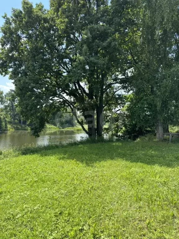 Участок в Калужская область, Жуковский муниципальный округ, Совхоз ... - Фото 1