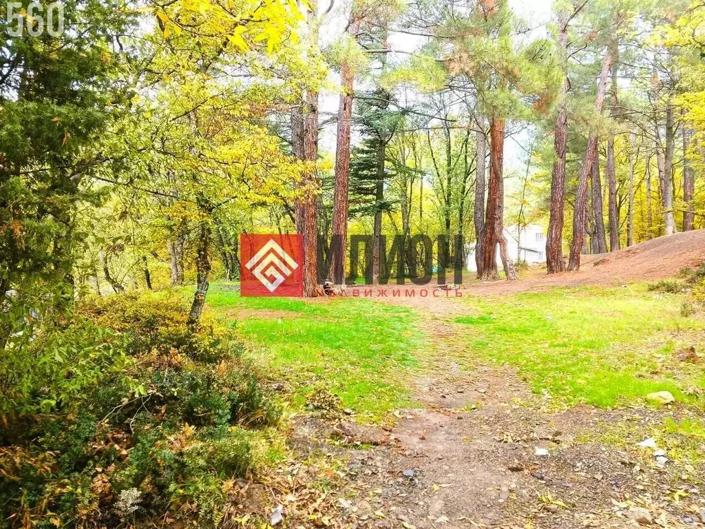 Участок в Крым, Ялта муниципальный округ, Массандра пгт ул. Винодела ... - Фото 1