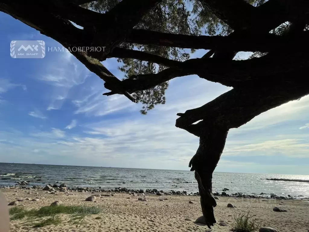 Участок в Ленинградская область, Выборгский район, Полянское с/пос, ... - Фото 2