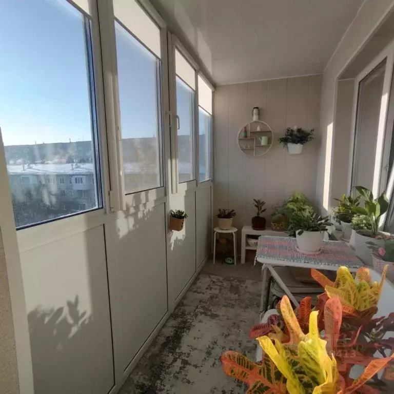 3-к кв. Омская область, Омск Моторная ул., 1 (60.0 м) - Фото 2