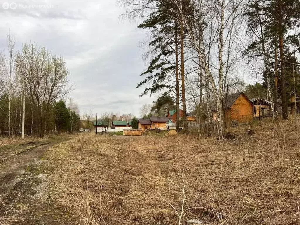 Участок в Майминский район, Соузгинское сельское поселение, посёлок ... - Фото 0