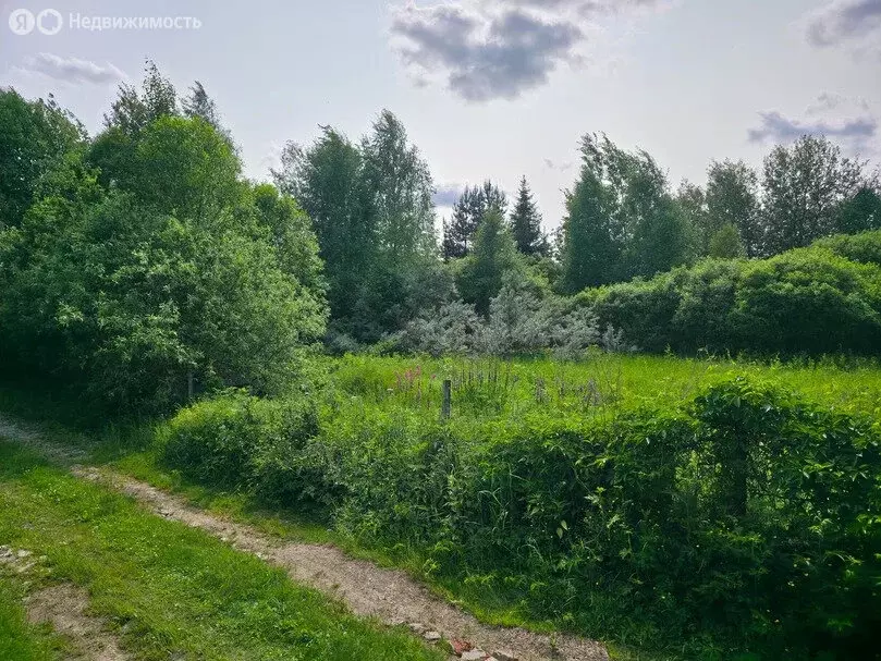 Участок в деревня Успенские Хутора, Успенская улица (11.2 м) - Фото 1