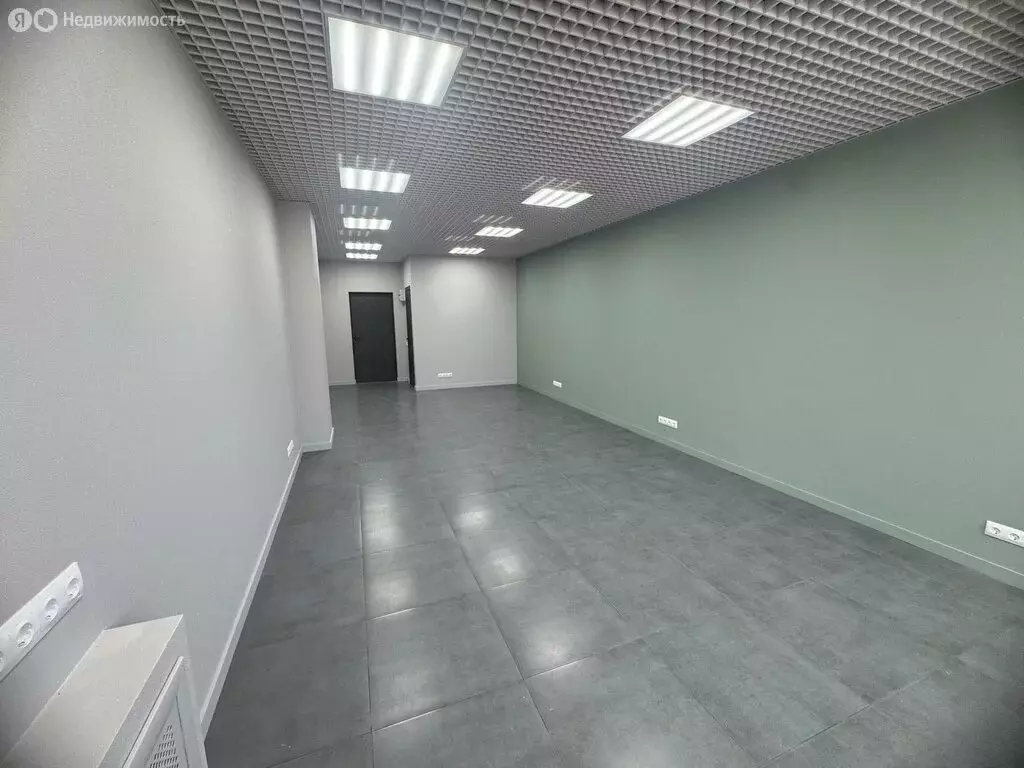 Помещение свободного назначения (41 м) - Фото 2