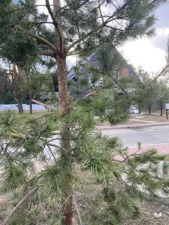 Коттедж в Московская область, Истра муниципальный округ, с. ... - Фото 1