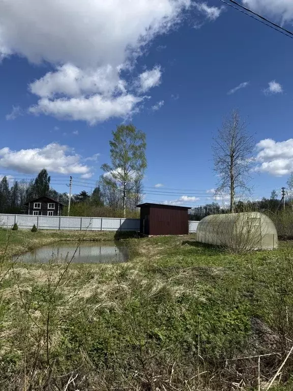 Участок в Новгородская область, Валдай Екатерининская ул. (15.0 сот.) - Фото 1