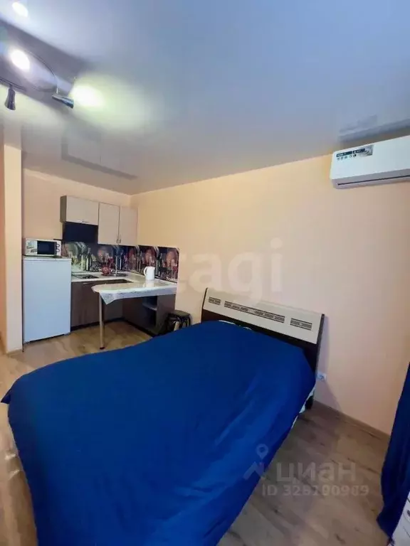 Студия Амурская область, Благовещенск Октябрьская ул., 221 (28.0 м) - Фото 2