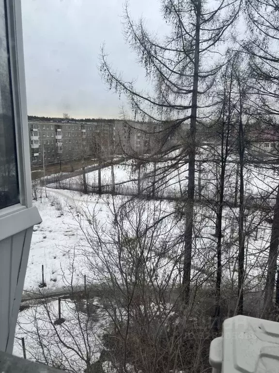 1-к кв. Свердловская область, Березовский Шиловская ул., 18 (30.8 м) - Фото 2