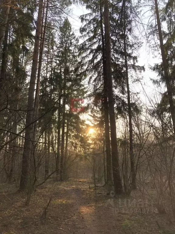 Участок в Московская область, Одинцовский городской округ, д. ... - Фото 2
