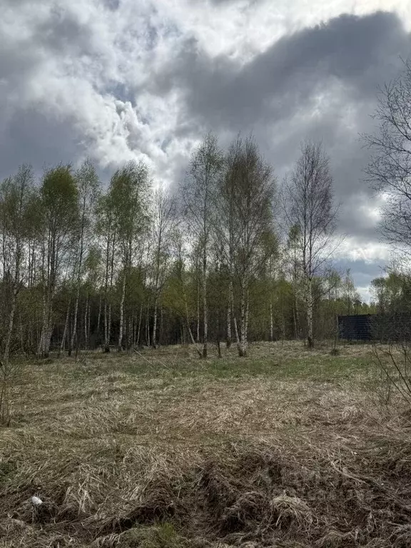 Участок в Московская область, Рузский муниципальный округ, пос. ... - Фото 1