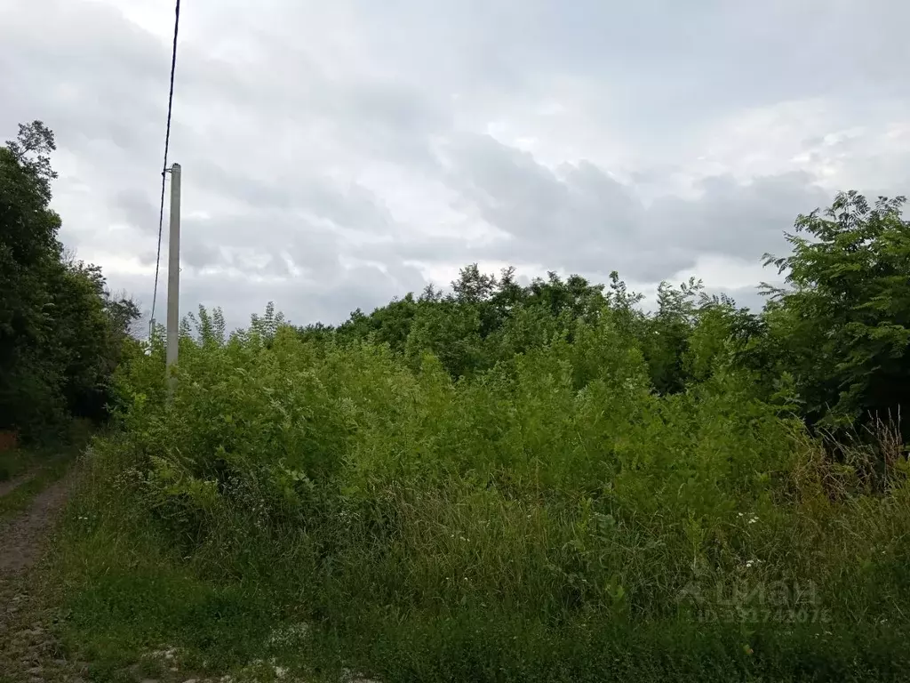 Участок в Белгородская область, Строитель Яковлевский городской округ, ... - Фото 1