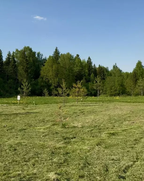Участок в Московская область, Клин городской округ, Ели Эстейт ... - Фото 1