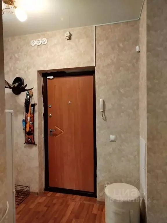 2-к кв. Новосибирская область, Новосибирск Академгородок мкр, ул. ... - Фото 1