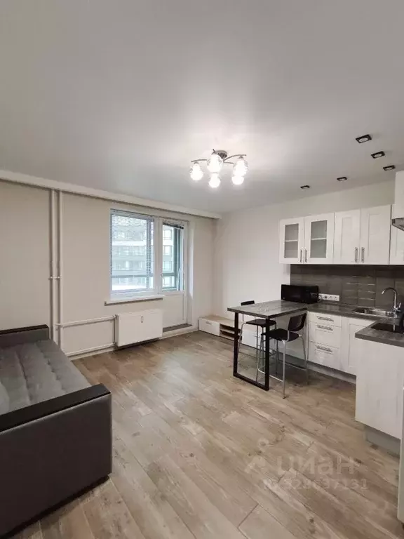 Студия Ленинградская область, Мурино Всеволожский район, просп. ... - Фото 1