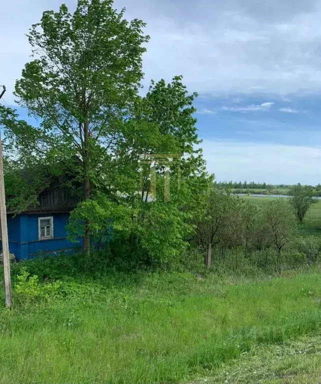 Дом в Новгородская область, Шимское городское поселение, д. Мшага ... - Фото 1