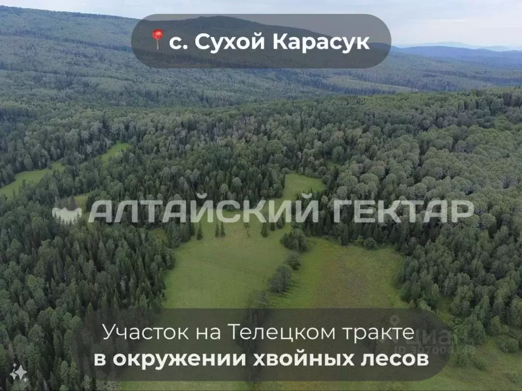 участок в алтай, чойский район, с. сухой карасук (12.51 сот.) - Фото 0