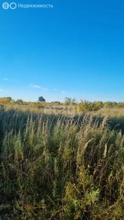 Участок в Амурская область, Белогорский муниципальный округ, село ... - Фото 0