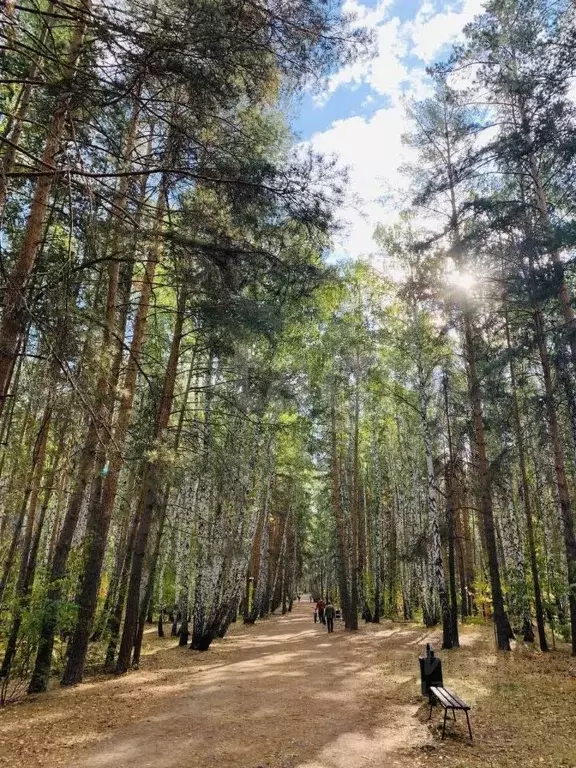 Дом в Московская область, Химки городской округ, д. Носово ул. Новая, ... - Фото 0