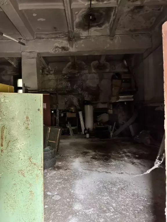 Помещение свободного назначения в Ленинградская область, Выборг ш. ... - Фото 2