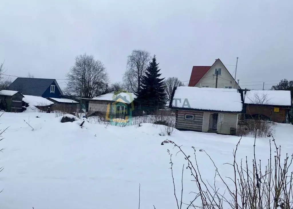 Участок в Санкт-Петербург, Санкт-Петербург, Красное Село Дружба СНТ, ... - Фото 1