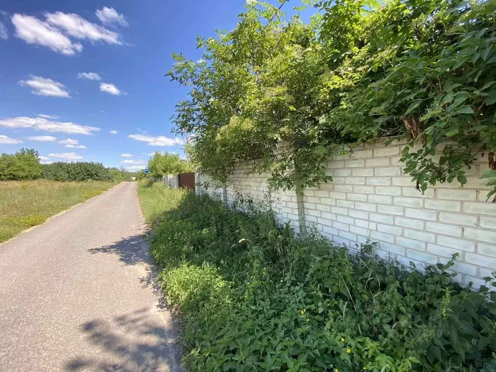 Участок в Белгородская область, Белгородский район, Никольское с/пос, ... - Фото 0