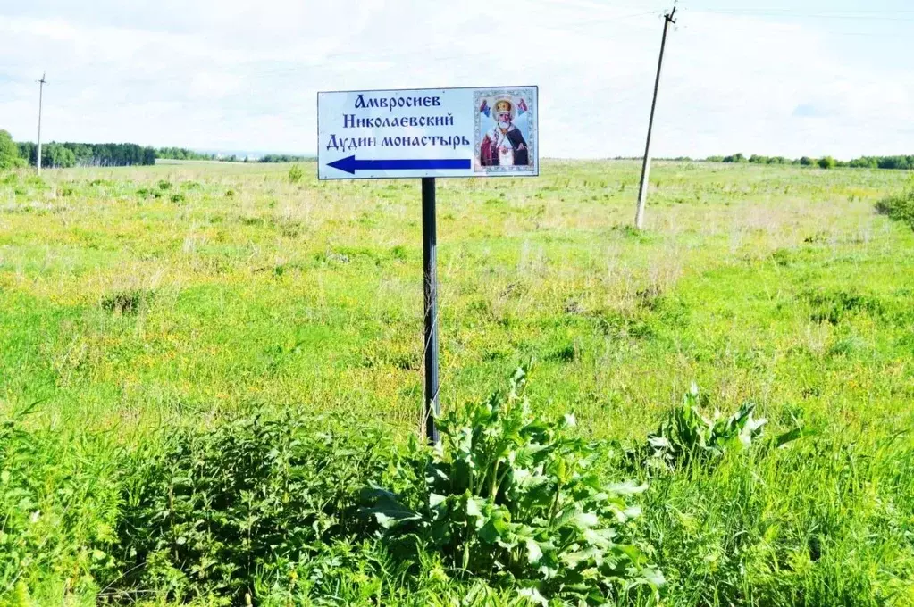 Участок в Нижегородская область, Богородский муниципальный округ, д. ... - Фото 1