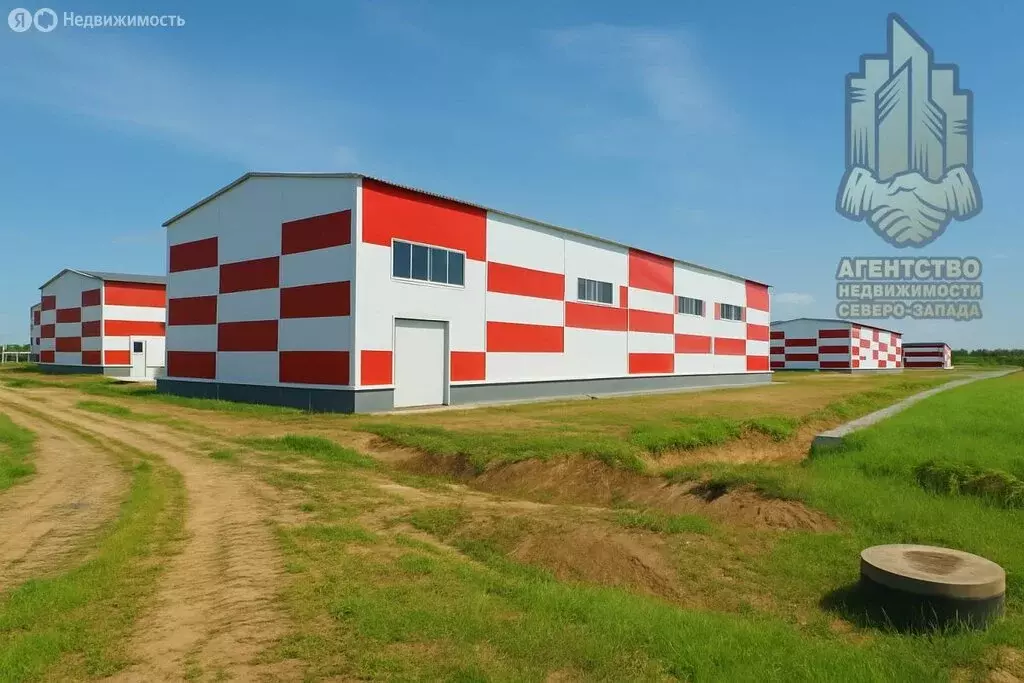 Склад (2916 м) - Фото 1