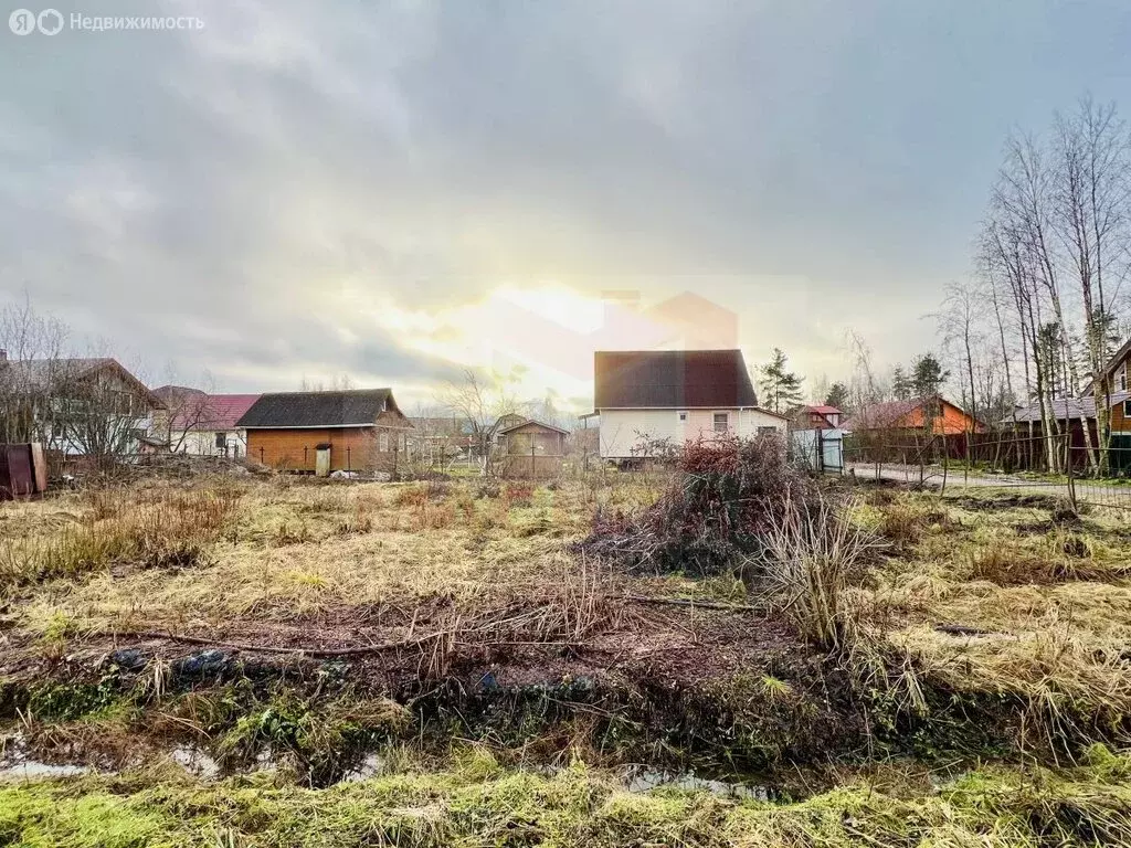 Участок в Санкт-Петербург, садоводство Торики-2 (6.18 м) - Фото 2