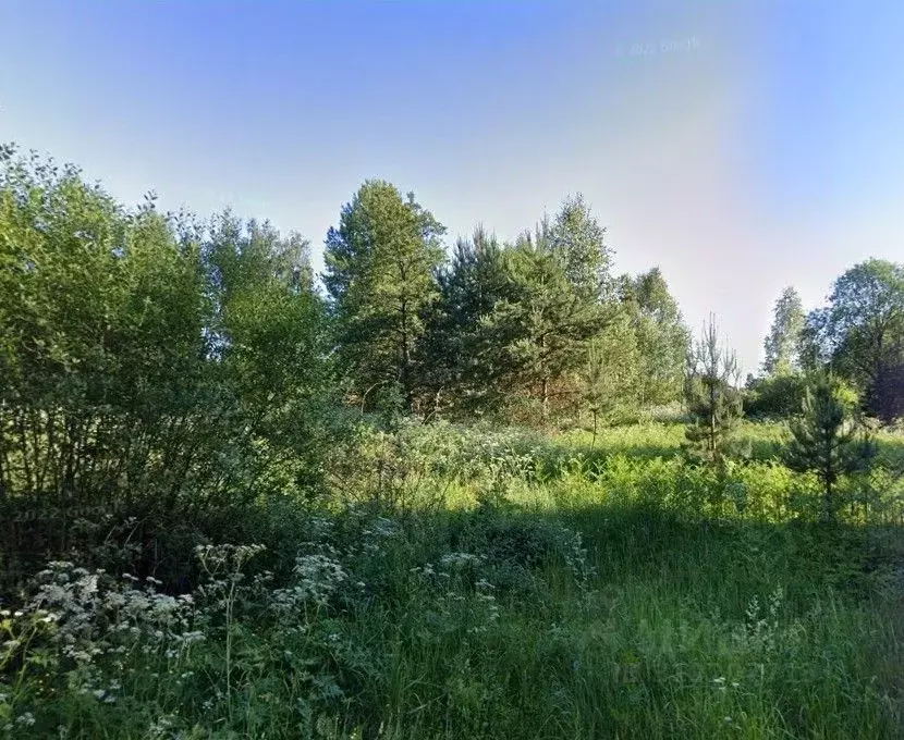 Участок в Московская область, Клин городской округ, Решетниково пгт, ... - Фото 0