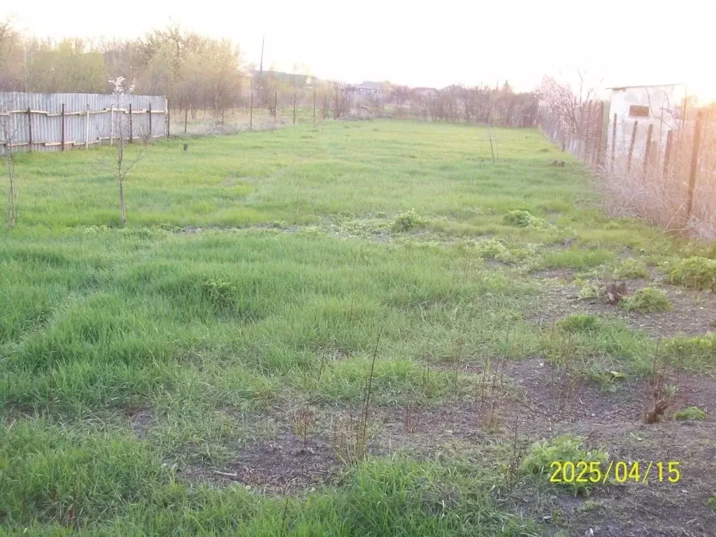 Участок в Воронежская область, с. Новая Усмань ул. Мира, 2 (12.0 сот.) - Фото 0