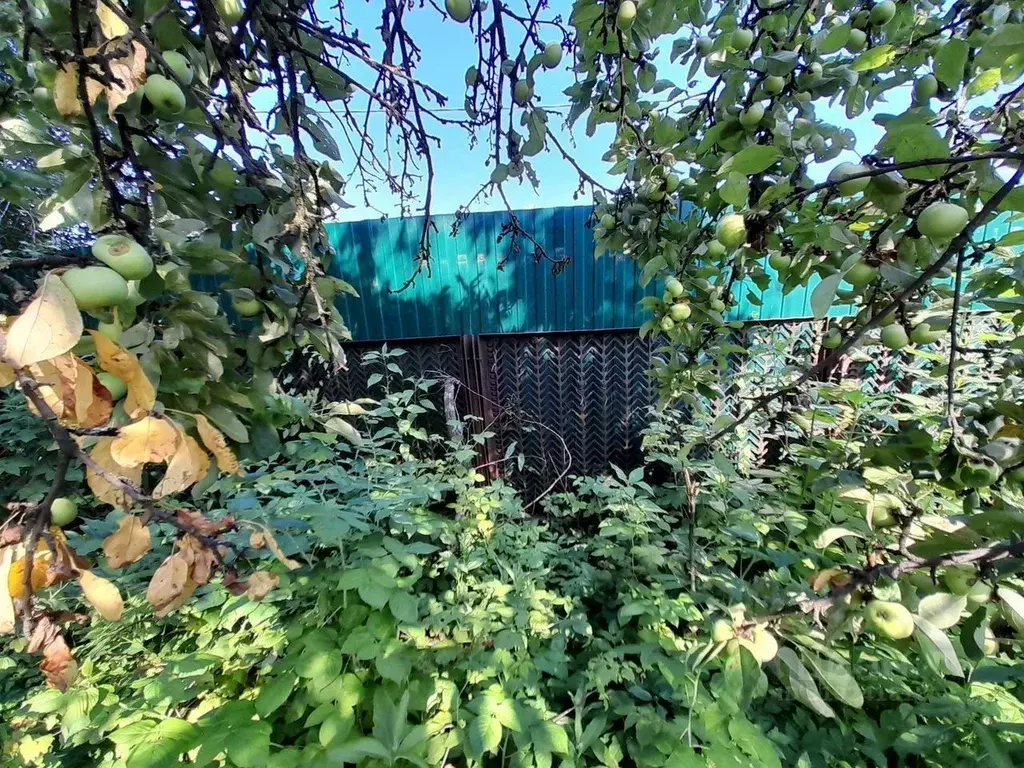 Дом в Московская область, Балашиха городской округ, д. Черное ш. ... - Фото 0