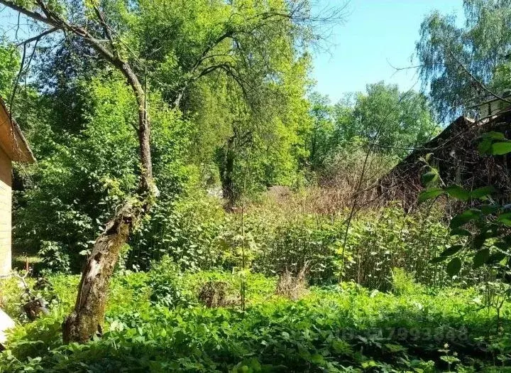 Участок в Московская область, Одинцовский городской округ, пос. ... - Фото 2